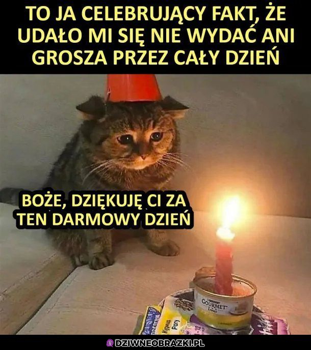 Darmowy dzień