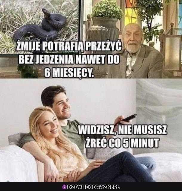 No patrz a jednak