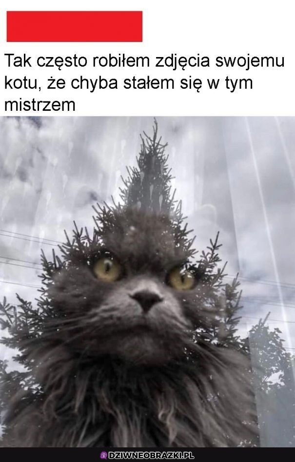 Ciekawe foto