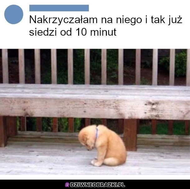 Chyba przesadzilem