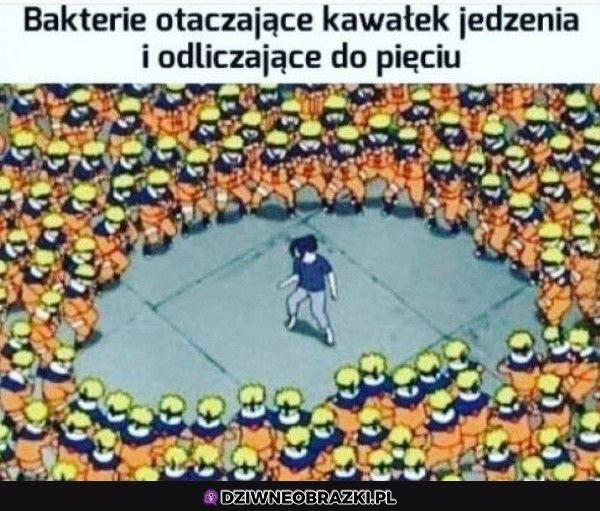 Zasada to zasada