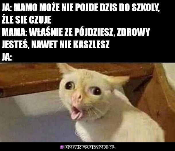 Jak to nie kaszle?