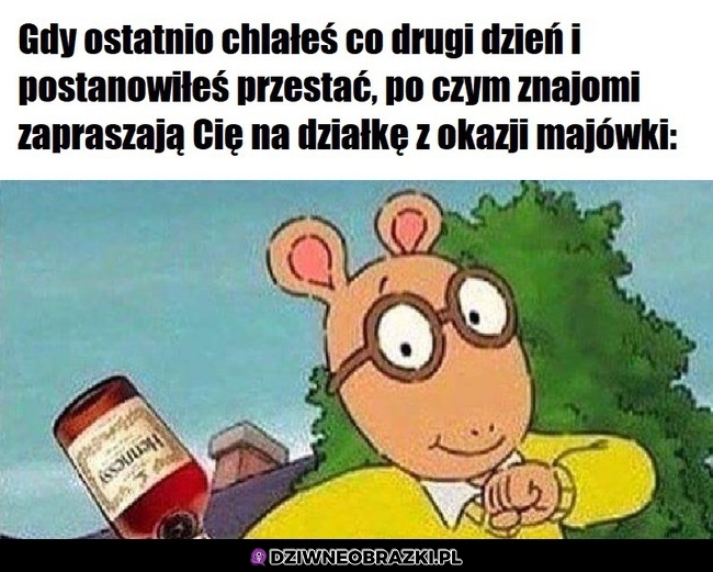 Już lecę!
