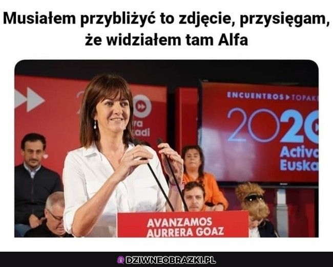 Bez kitu to on?