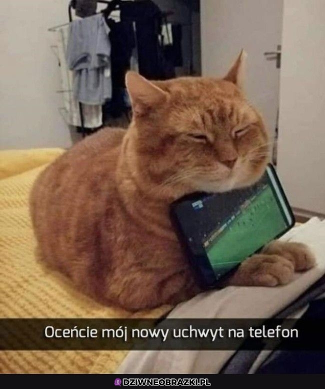 Najlepszy uchwyt