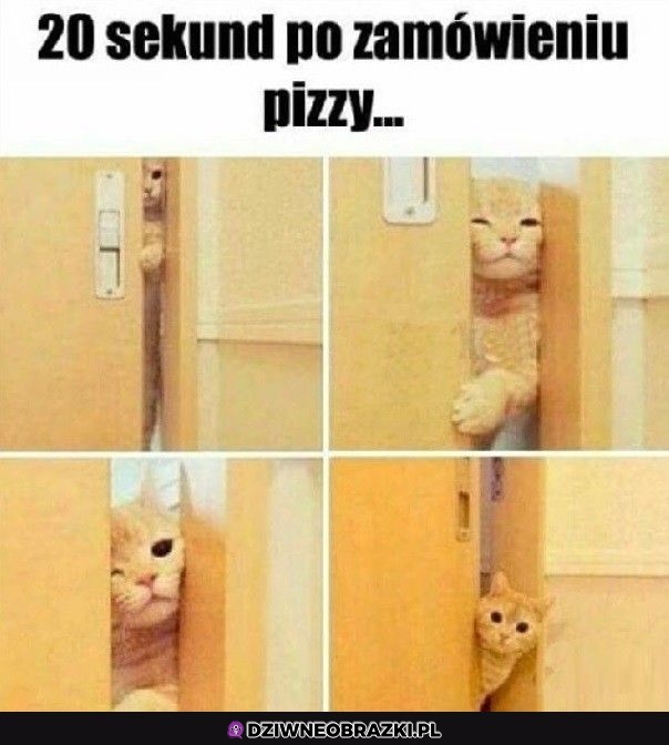 Kiedy tylko zrobię zamówienie