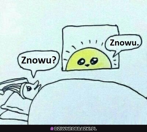 Znowu