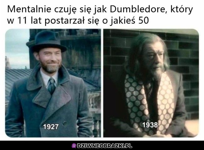 Dokładnie tak