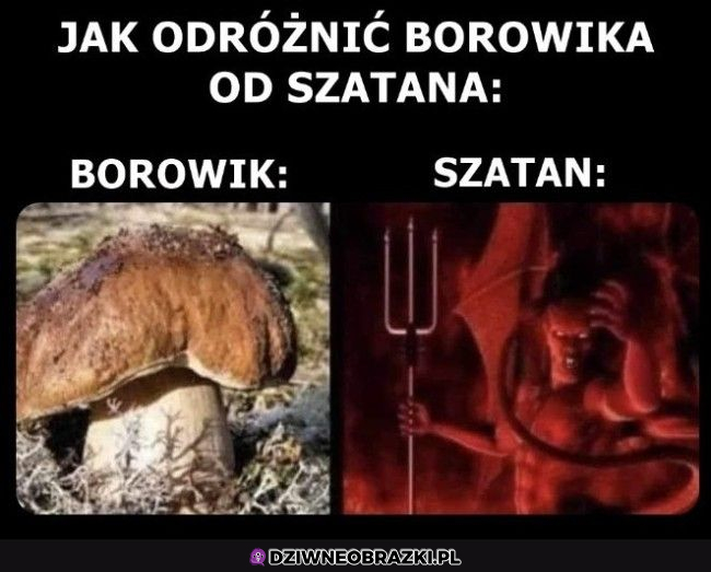 Delikatna różnica