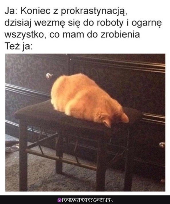 To ja