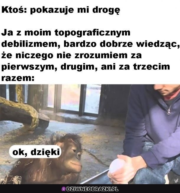Aha