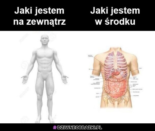 Dokładnie taki