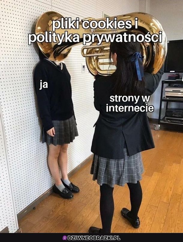 Wszędzie w internecie