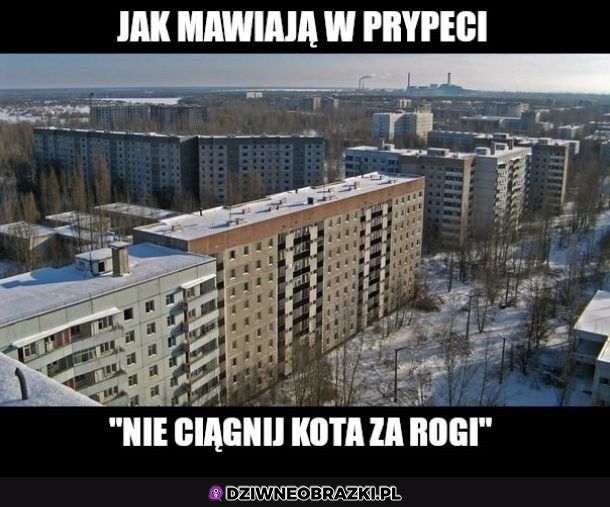 Powiedzonko