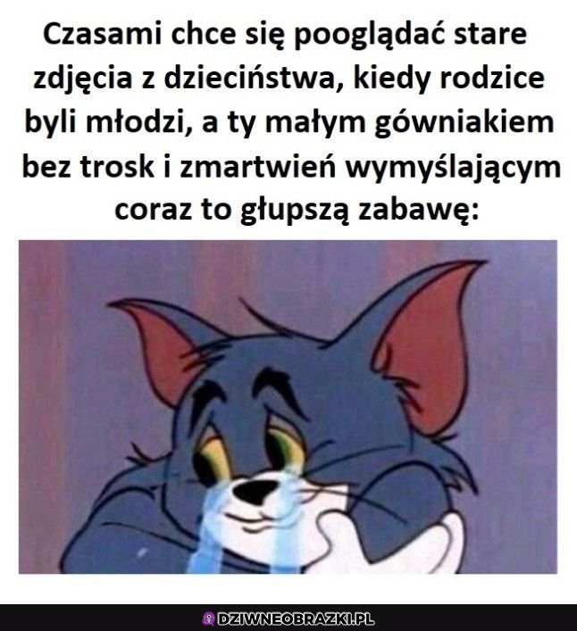 Bez kitu tak