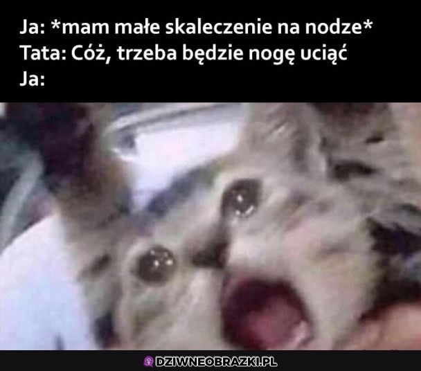 Ten moment