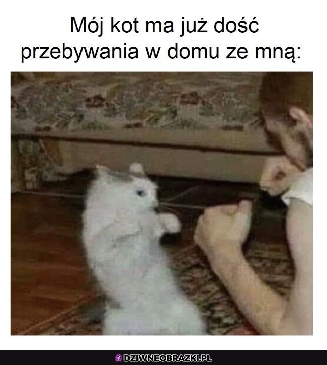 Już tego wszystkiego za dużo
