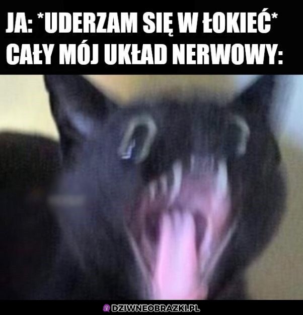 Kiedy uderzę się w łokieć