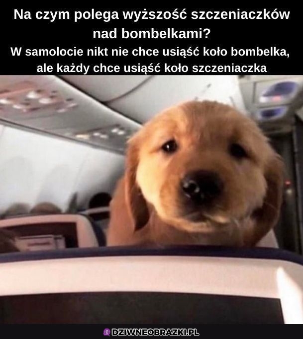 Wyższość