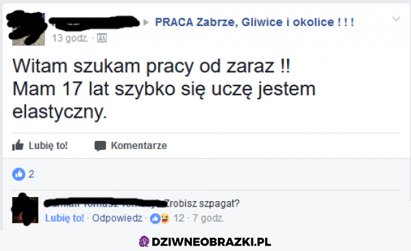 Elastyczny