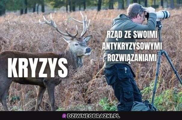 Tak to wygląda