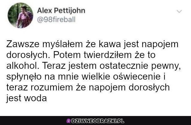 Napój dorosłych