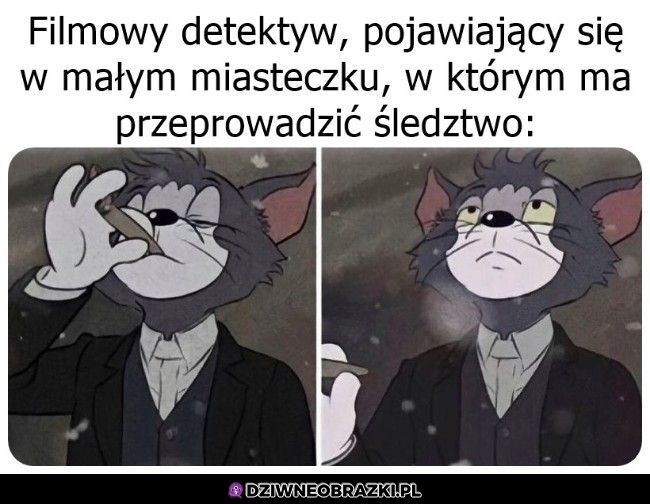 Pojawienie się detektywa