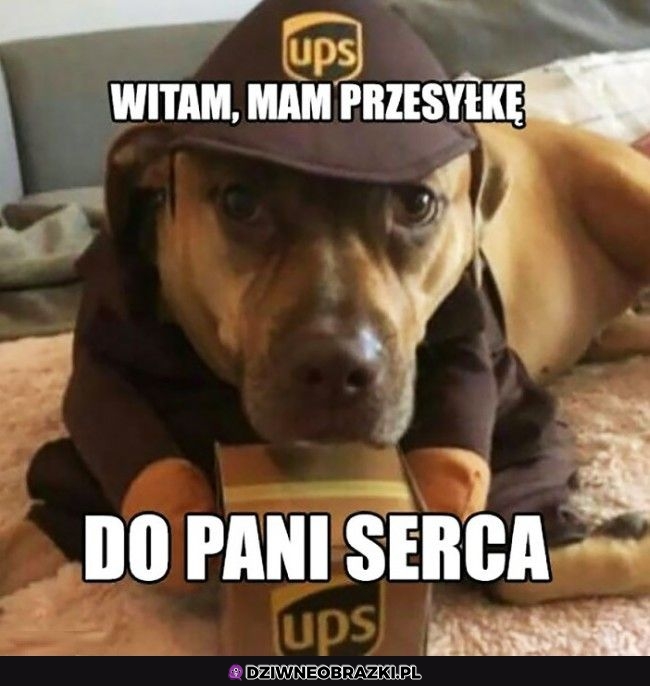 Przyjmuję