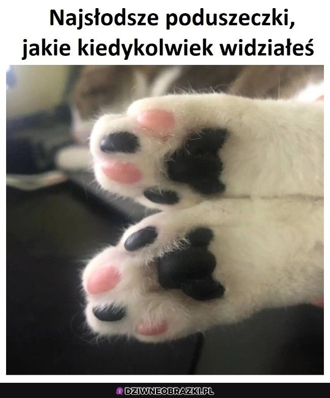 Słodziutkie