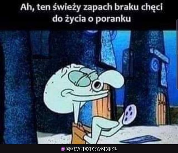 Wspaniały zapach
