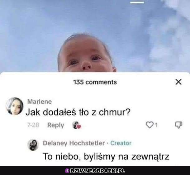 Głupota ludzka