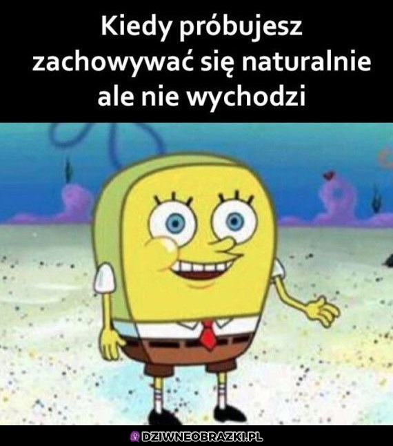 No cześć