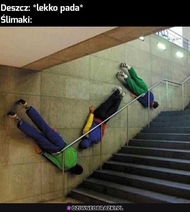 Kiedy lekko pada