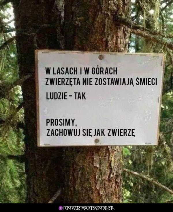 Być jak zwierzę