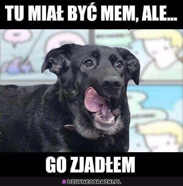 Sorki