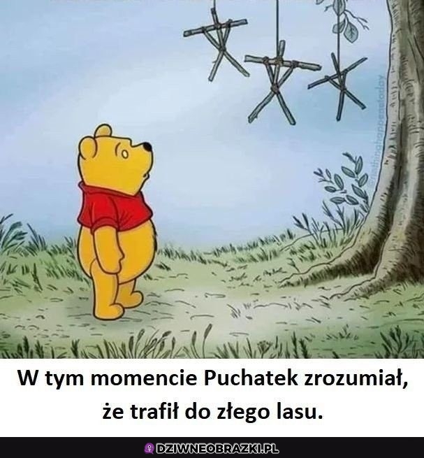 Zły las puchatku
