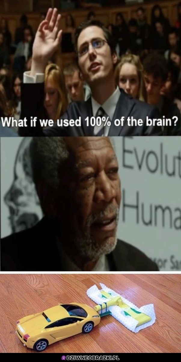 100% mózgu