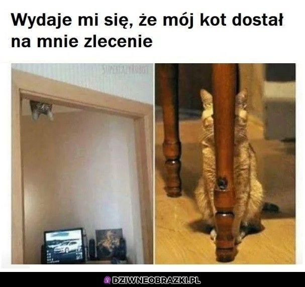 Dostał zlecenie