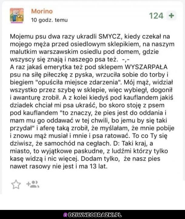 Ktoś wie, gdzie taka patologia jest?