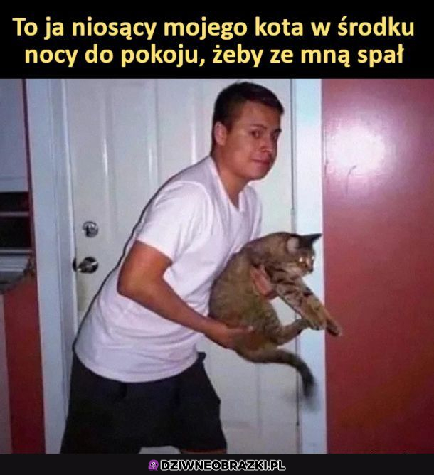 Ja w nocy