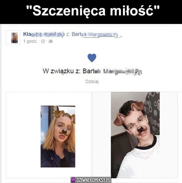 Szczenięca miłość