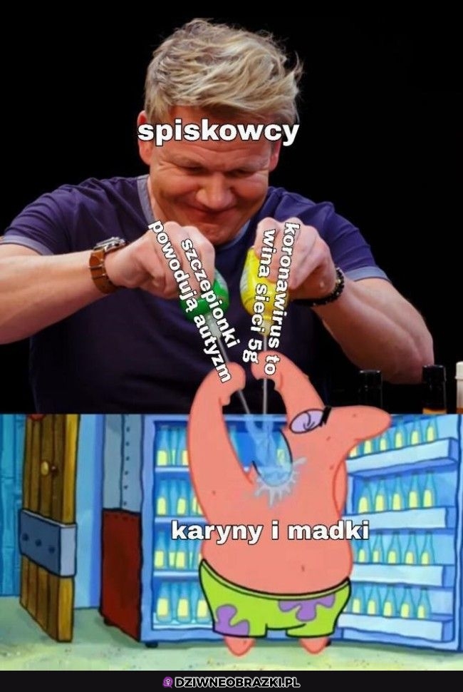 Pożywka