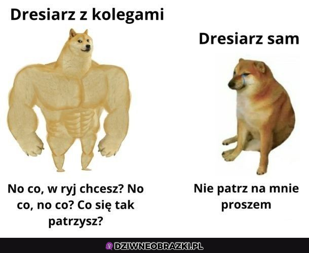 Z kolegami zawsze mocny 