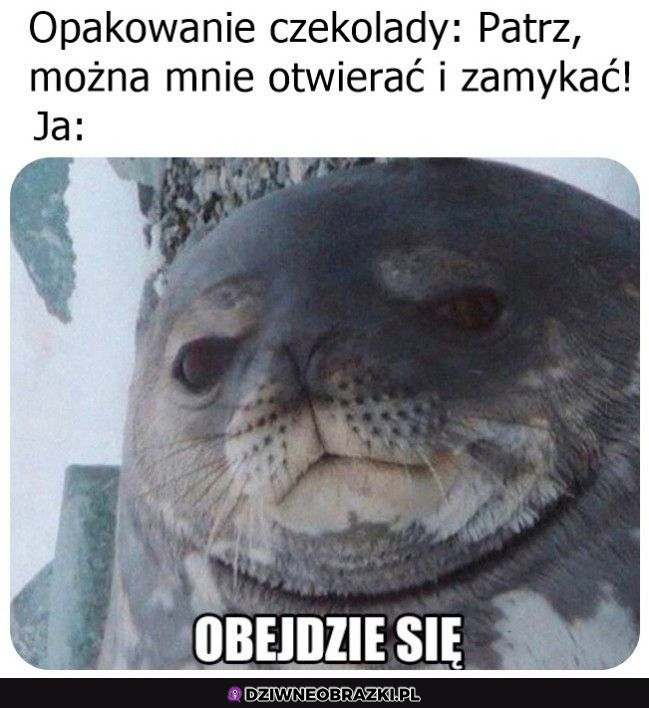 Po co to zamknięcie? 