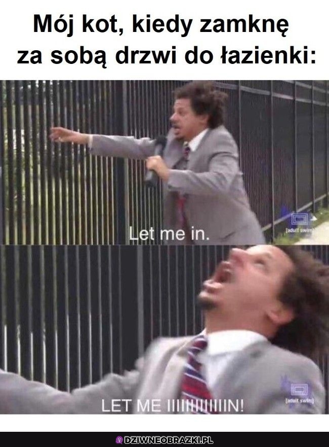 Za każdym razem