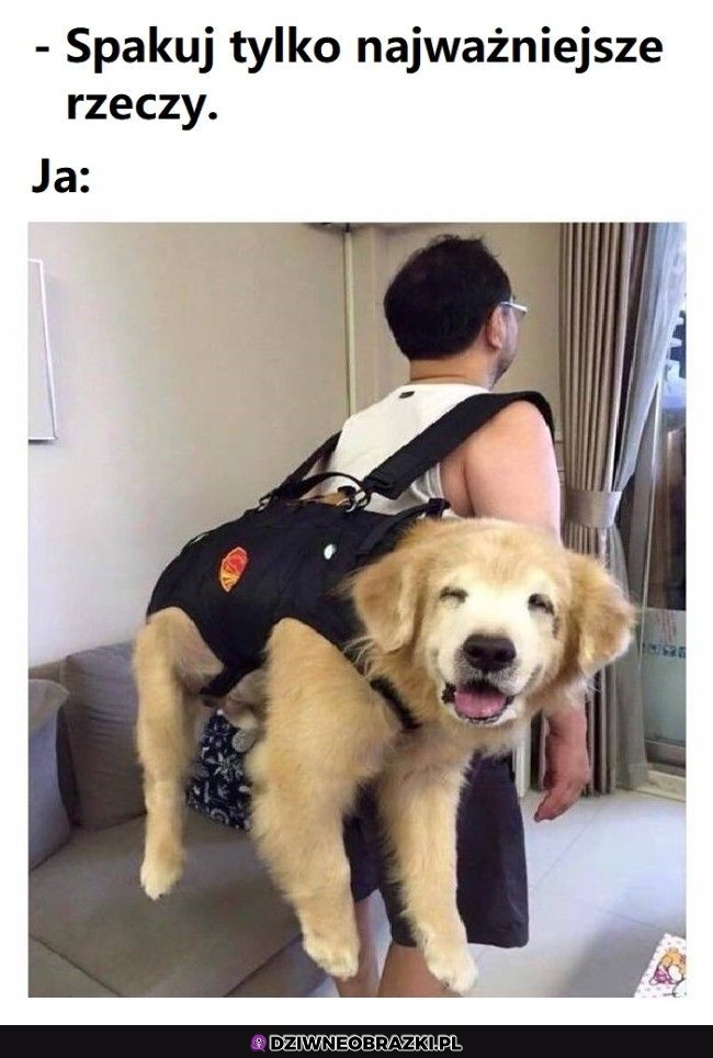 Spakowane
