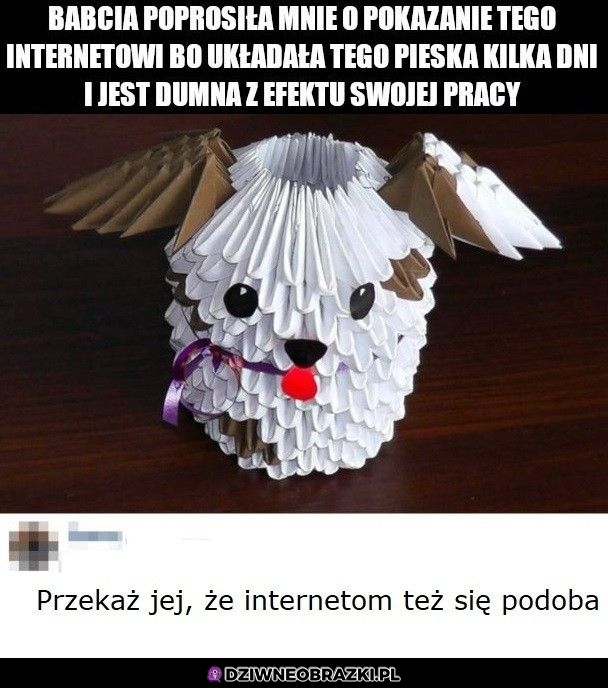 No jest spoko