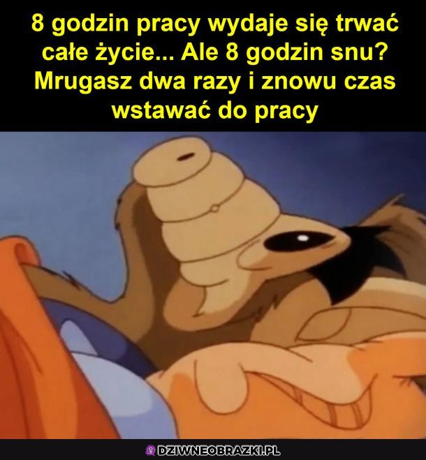 To nierówna walka
