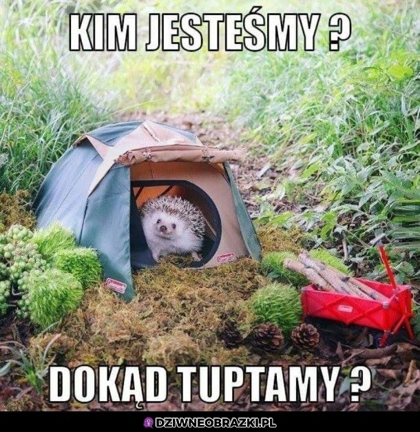 Kim jesteśmy?