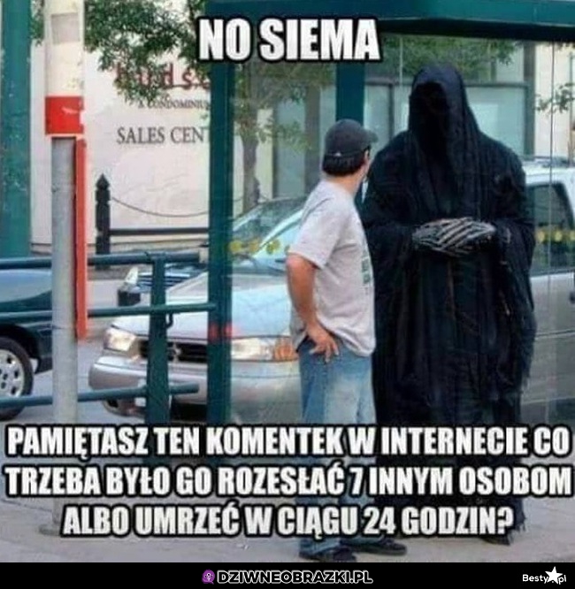 No siema